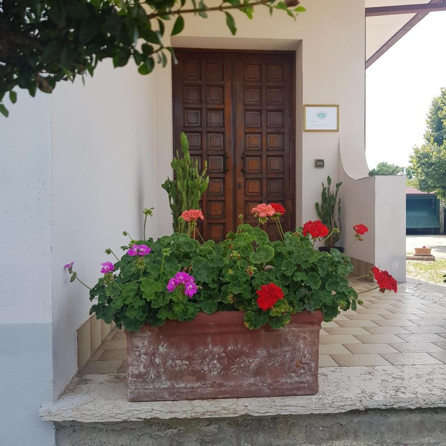 B & B Cedro Argentato เลนญาโก ภายนอก รูปภาพ
